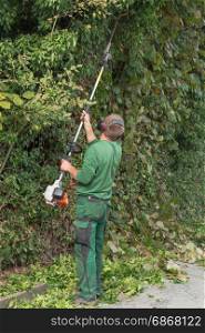 Cutting a hedge with a hedge trimmer motor.