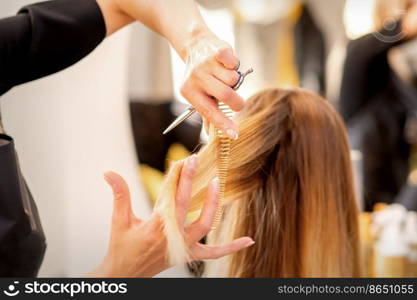 Cutting female blonde hair. Hairdresser cuts hair of a young caucasian woman in a beauty salon close up. Cutting female blonde hair. Hairdresser cuts hair of a young caucasian woman in a beauty salon close up.