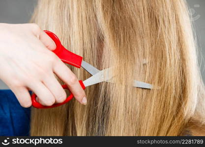 Cutting hairdo and new image. Head of blonde woman changing hairstyle. Female hands with red scissors cut long straight hair.. Blonde girl makes new hair image.