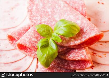 Cutting sausage and cold salami slices close up. Types of sausage appetizer