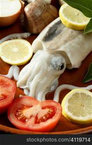Cuttlefish uncooked, Squid Mediterranean seafood