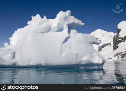 Cuverville Bay on the Antarctic Peninsula in Antarctica