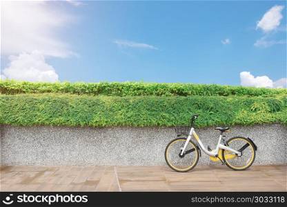 Cycling concept. Bicycle parking with blue sky.