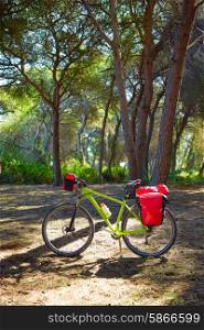 cycling tourism MTB bike in Spain with paniers and saddlebag in pine Mediterranean forest