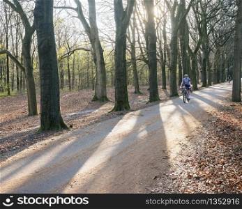 cyclist backlit in spring forest rides fast downward with early green leaves in the background