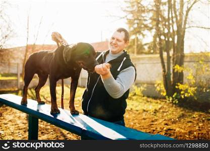 Cynologist training sniffing dog on playground. Owner with his obedient pet outdoor, bloodhound domestic animal