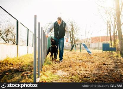 Cynologist with sniffing dog, training outside. Owner with his obedient pet outdoor, bloodhound domestic animal. Cynologist with sniffing dog, training outside