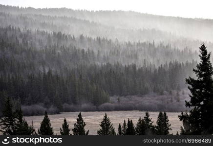 Cypress Hills Alberta Saskatchewan in the hills Alberta