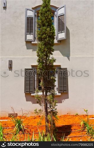 Cypress on the Backgraund of the Old Building in Tel Aviv, Israel