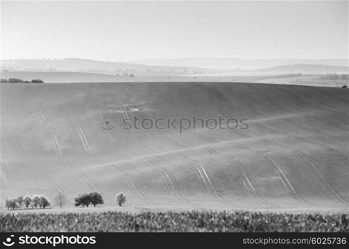 Czech Moravia hills. Agriculture . Arable lands in spring.