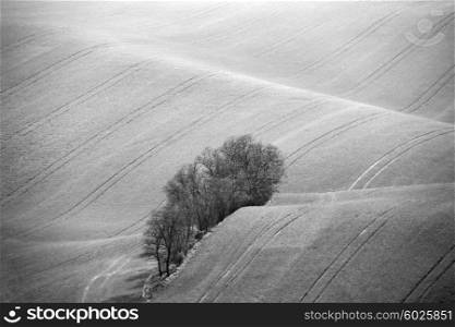 Czech Moravia hills. Agriculture . Arable lands in spring.