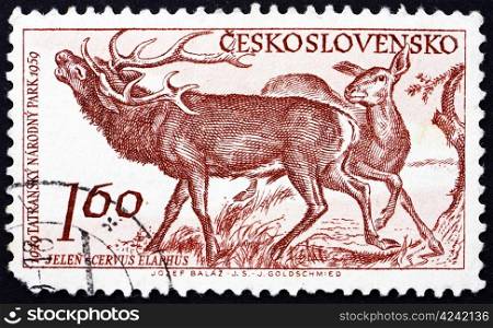 CZECHOSLOVAKIA - CIRCA 1959: a stamp printed in the Czechoslovakia shows Red Deer, Cervus Elaphus, 10th Anniversary of Tatra National Park, circa 1959