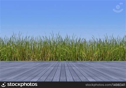 d rendering wooden floor and green color wild grasses and sky
