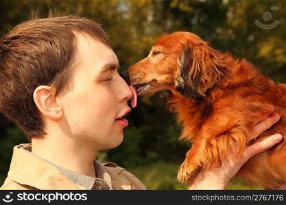 dachshund licks man in nose
