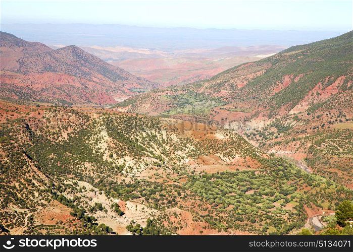 dades valley in atlas moroco africa ground tree and nobody