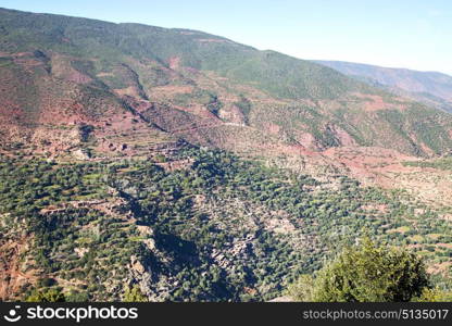 dades valley in atlas moroco africa ground tree and nobody