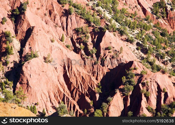 dades valley in atlas moroco africa ground tree and nobody