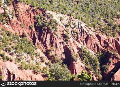 dades valley in atlas moroco africa ground tree and nobody