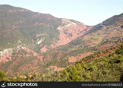 dades valley in atlas moroco africa ground tree and nobody