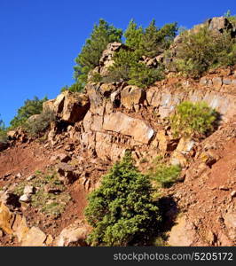 dades valley in atlas moroco africa ground tree and nobody