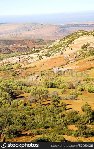 dades valley in atlas moroco africa ground tree and nobody