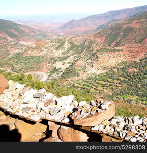 dades valley in atlas moroco africa ground tree and nobody