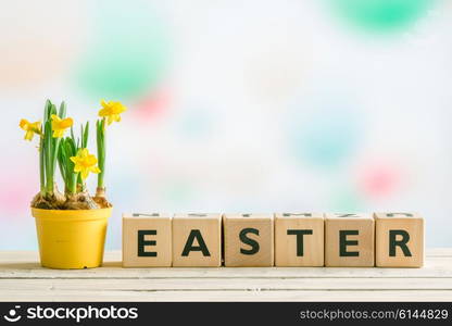 Daffodils in a flowerpot on a table with the word easter