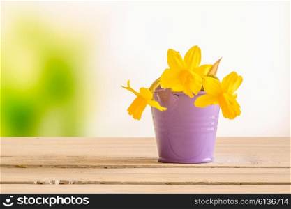 Daffodils in a purple bucket on a wooden table