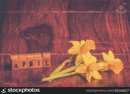 Daffodils in april on a dark wooden table