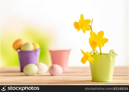 Daffodils in easter in a green flowerpot