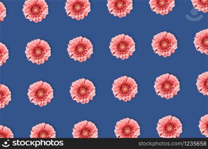 Dahlia flower pattern in minimal style on deep blue background. Flat lay, top view. Pop art design, creative summer concept.. Dahlia flower summer pattern in minimal style on blue background.