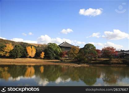 Daibutsu Pond & Todai-ji