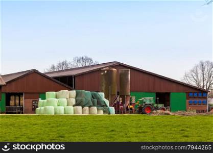 Dairy Farm. farm buildings