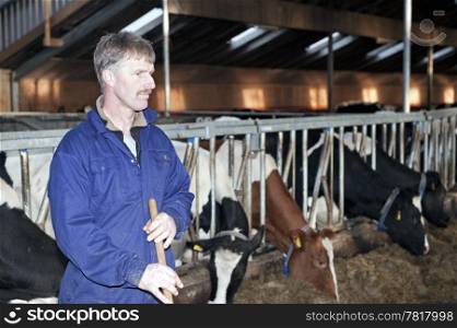 Dairy farmer in the foreground, looking sternly away from the camera with his live stock in the barn behind him with shallow depth of field