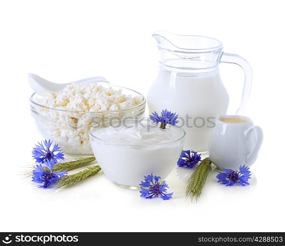 Dairy Products. Milk, cream, sour cream and cottage cheese