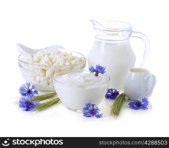 Dairy Products. Milk, cream, sour cream and cottage cheese