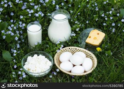 Dairy products on grass: milk, curd and eggs