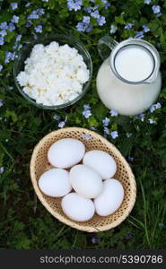 Dairy products on grass: milk, curd and eggs