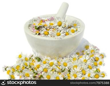 Daisies in a mortar