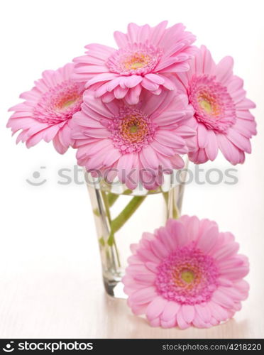 daisies in vase