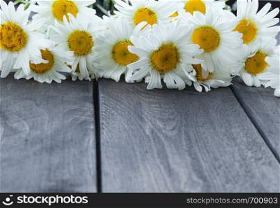 Daisies on the background of old wooden boards. With copy space for text.. Daisies on the background of old wooden boards.