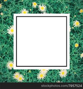 Daisy flowers background with retro filter effect and design frame label