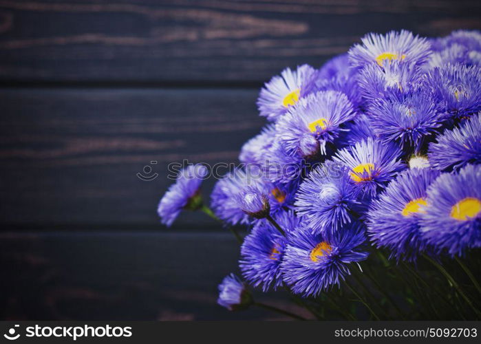 Daisy flowers, beauty still life against old wooden desk