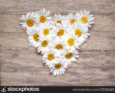 Daisy flowers in the shape of hearts on wooden background
