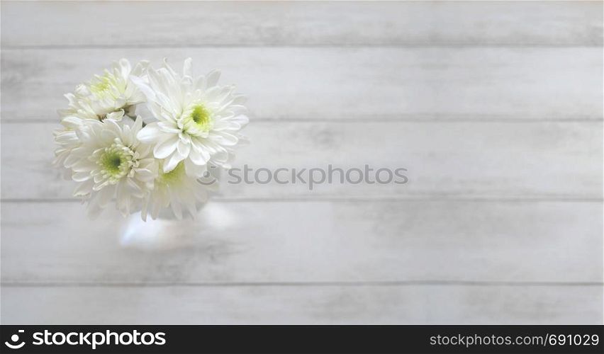 Daisy flowers on white wooden background with copy space.