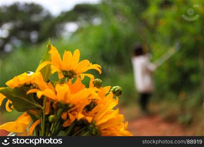 DALAT, 26 October 2017: Road trip ride a motorbike at path of countryside, bush of wild sunflower bloom in yellow, colorful scene in Da Lat, Vietnam