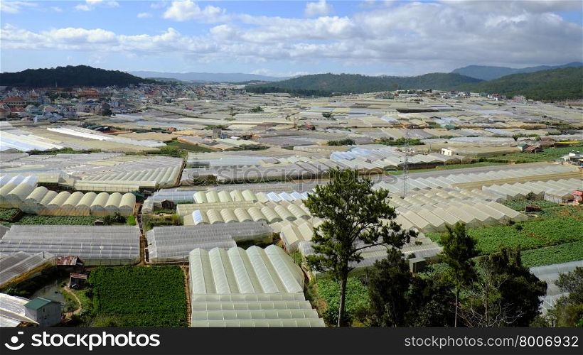 Dalat flower village, a large area for flower at Vietnam, group of green house with high tech agriculture, Da Lat is big bloom granary for country by good natural condition