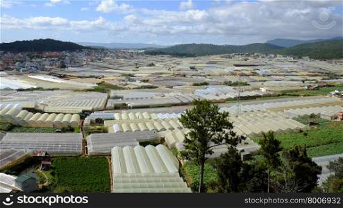 Dalat flower village, a large area for flower at Vietnam, group of green house with high tech agriculture, Da Lat is big bloom granary for country by good natural condition