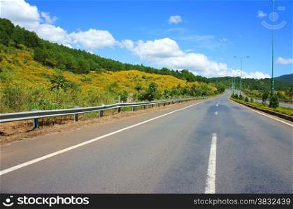 Dalat highway, beauty road cross pine forest with wild flower under blue sky and cloud, the street at Vietnamese countryside with fresh air, good surface, traffic can fast