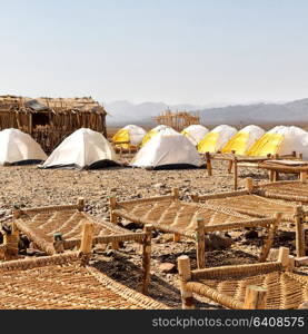 danakil ethiopia africa in the national park camping for tourist and typical oitside wooden bed made of wicker